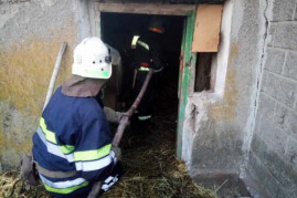 В результате пожара в Межевском районе пострадала семилетняя девочка