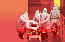 Когда в Украине произойдет пик коронавирусной ситуации Когда в Украине произойдет пик коронавирусной ситуации