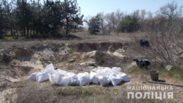 Было бы смешно, если бы не так печально… За 500 кг песка человеку грозит до 3-х лет