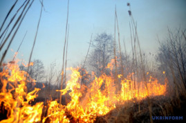 Рятувальники Дніпропетровщини продовжують боротися з пожежами в екосистемах