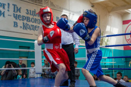 У Кам’янському розпочався міський чемпіонат із боксу серед юнаків та дівчат У Кам’янському розпочався міський чемпіонат із боксу серед юнаків та дівчат