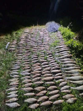 На Кам’янському водосховищі порушник завдав майже 440 тис. грн збитків На Кам’янському водосховищі порушник завдав майже 440 тис. грн збитків