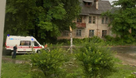 В Каменском упавшие деревья травмировали несколько человек