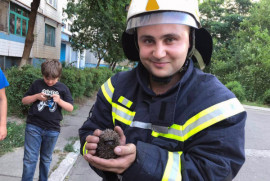 В Каменском спасли еще одну маленькую жизнь