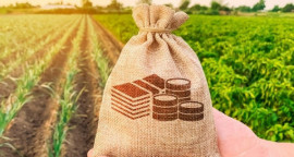 Платники Дніпропетровщини та Києва забезпечили понад третину земельного податку за 10 місяців 2025 року