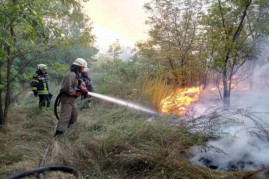 Пожар рядом с Каменским: в выходной горел лес (видео)
