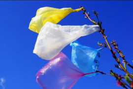 С 1 января 2021 пластиковые пакеты хотят запретить, а за их распространение — штрафовать