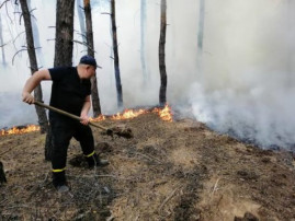 Полиция нашла виновника пожара на Луганщине