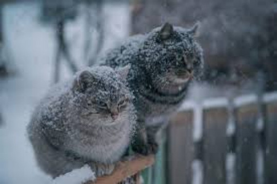 На Дніпропетровщині прогнозують морозну, але суху погоду