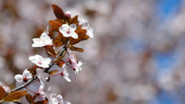 Холод і сильний вітер: синоптики попереджають про некомфортний тиждень