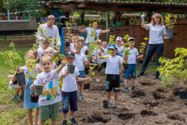 У Кам’янському на території дитсадка висадили понад 100 кущів смородини та порічок