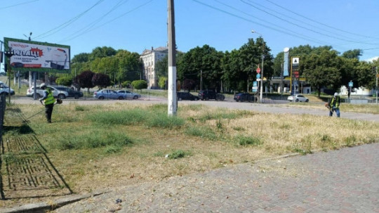 Кам'янське втрачає зелені зони через неправильний догляд у спеку – містяни закликають змінити підхід до косіння